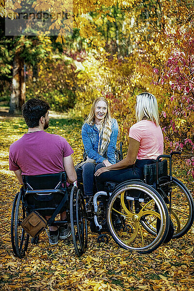 Gruppe von drei jungen Querschnittsgelähmten in ihren Rollstühlen  die an einem schönen Herbsttag gemeinsam einen Park besuchen; Edmonton  Alberta  Kanada