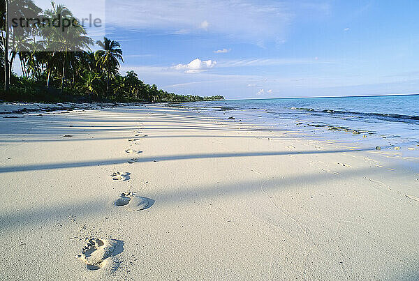 Fußabdrücke am Strand  in der Nähe des Emerald Palms Resort  Süd-Andros  Bahamas