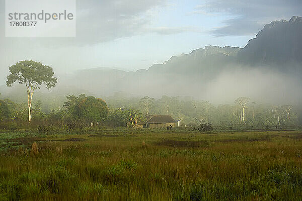 In den frühen Morgenstunden steigt Nebel vom feuchten Boden am Fuße des Sarisarinama Tepui auf; Gran Sabana  Venezuela.