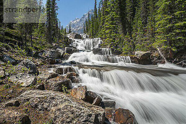 Wasser  das über die Giant Steps am Paradise Creek  Banff National Park  Alberta  Kanada  stürzt