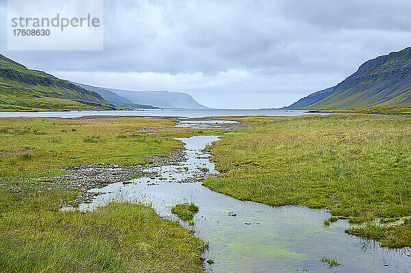 Fjordlandschaft im Sommer  Vestfjardarvegur; Westfjorde  Island