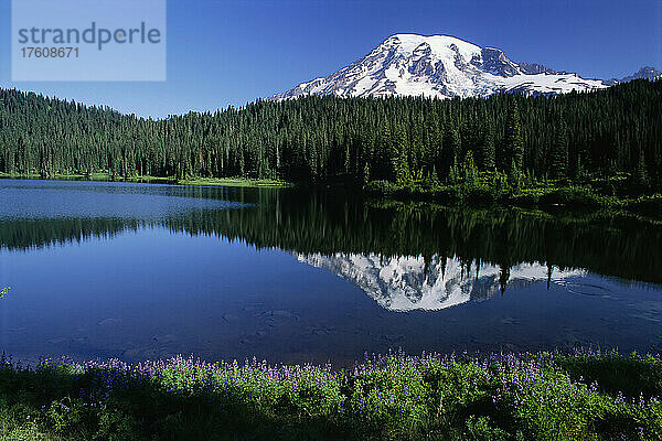 Mt. Rainier Mt. Rainier National Park Washington  USA