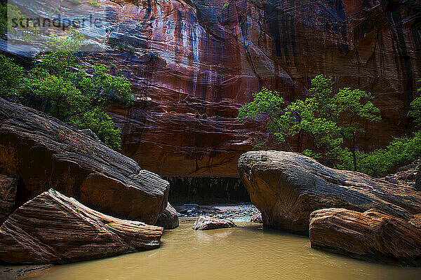 Dramatische Sandsteinfelsen in den Narrows; St George  Utah  Vereinigte Staaten von Amerika