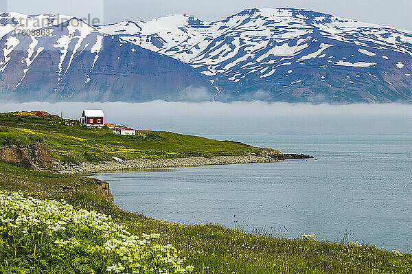 Ein einsames Haus am Ufer  im Hintergrund schneebedeckte Berge; Insel Hrisey  nahe Dalvik  Eyjafjordur  Island.