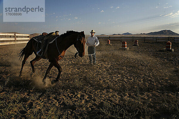 Mustang-Training für den Wettbewerb Extreme Mustang Makeover ; Winnemucca  Nevada  Vereinigte Staaten von Amerika