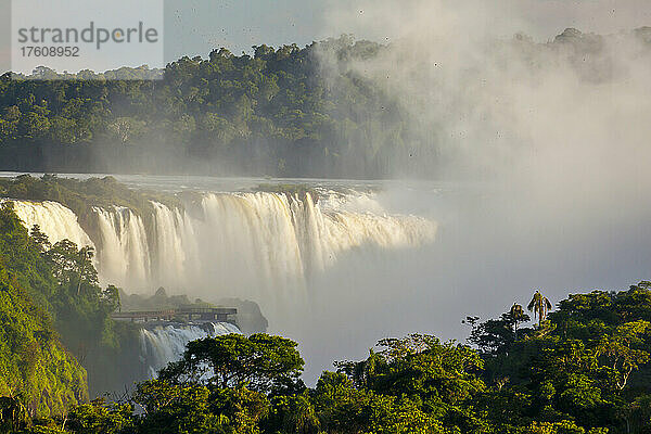 Nebel steigt über dem Wald auf  der die Iguazu-Fälle umgibt.