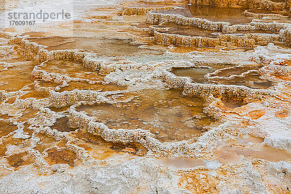 Natürliche heiße Quellen bilden im Yellowstone-Nationalpark verschlungene und gesättigte Muster.