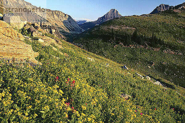 Die Gartenmauer  Glacier National Park  Montana  USA