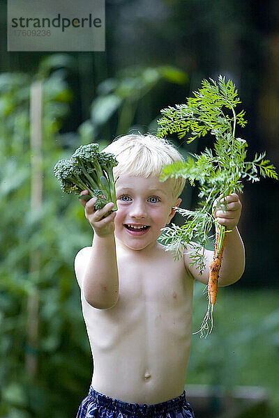 Ein dreijähriger Junge mit Brokkoli und Karotten aus einem Hinterhofgarten; Cabin John  Maryland.