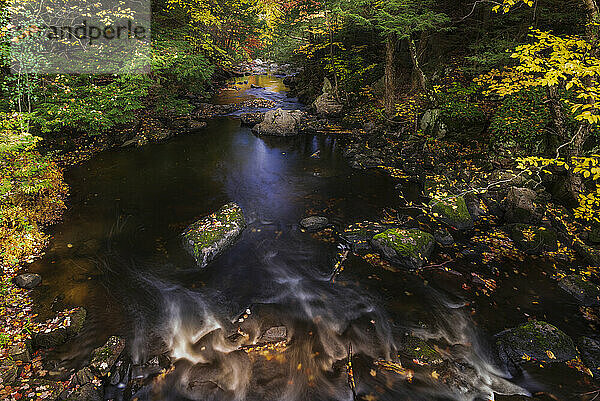 Leuchtende Farben entlang eines wilden Flusses im Herbst in den Laurentides; Quebec  Kanada