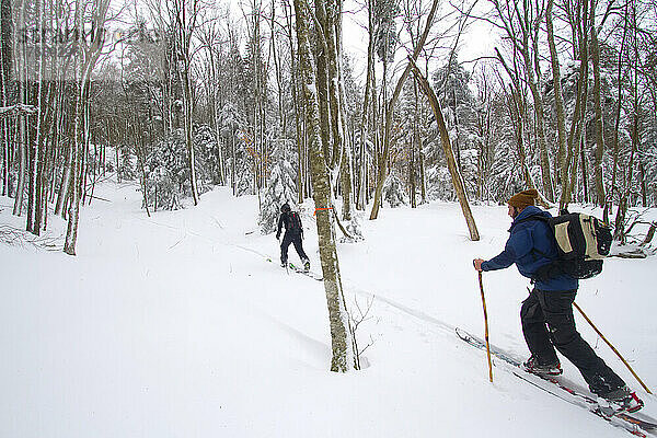 Telemark-Skifahrer im Gelände fahren im George Washington National Forest  West Virginia  bergauf; George Washington National Forest  West Virginia.