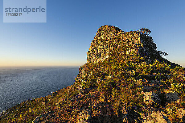 Lion's Head  ein spitzer Berg im Tafelberg-Nationalpark; Kapstadt  Westkap  Südafrika