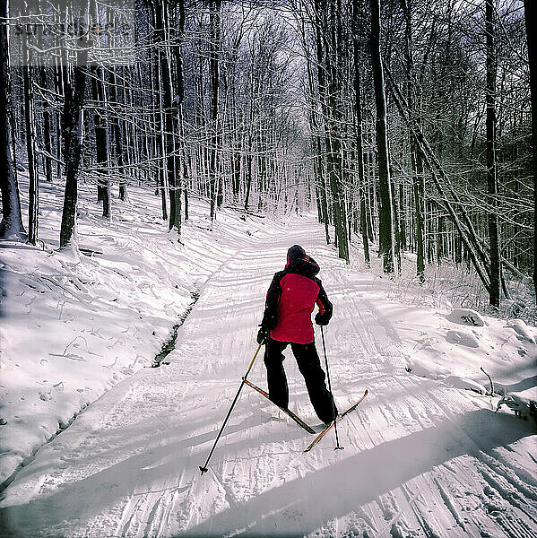 Eine Frau läuft auf Langlaufskiern bergauf im Whitegrass Touring Center; Canaan Valley  West Virginia.