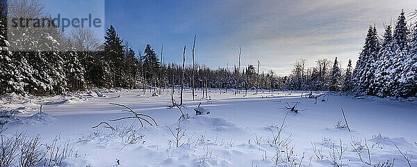 Winterlandschaft in den Laurentides; Quebec  Kanada