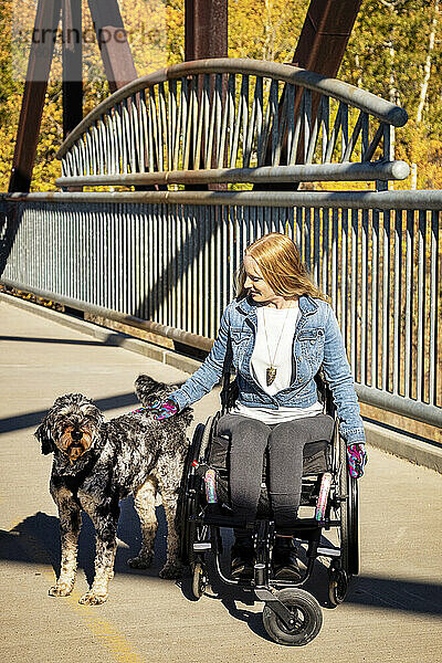 Junge querschnittsgelähmte Frau in ihrem Rollstuhl in einem Park an einem schönen Herbsttag  die anhält  um einen Hund auf einer Brücke zu streicheln; Edmonton  Alberta  Kanada