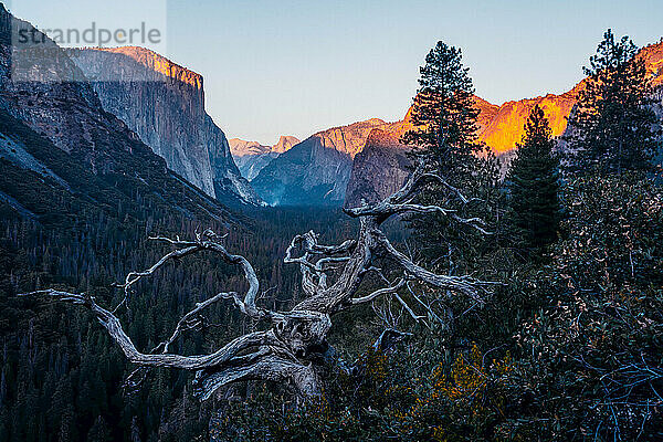 Blick auf El Capitan und Half Dome bei Sonnenuntergang im Yosemite National Park; Kalifornien  Vereinigte Staaten von Amerika