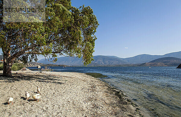 Blick auf den Bafa-See von Herakleia  am östlichen Ende des Sees  in der Nähe von Kusadasi  Türkei; Herakleia  Türkei