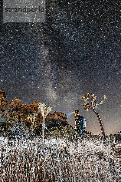 Frau beim Nachtwandern mit der Milchstraße am Nachthimmel im Joshua Tree National Park; Kalifornien  Vereinigte Staaten von Amerika