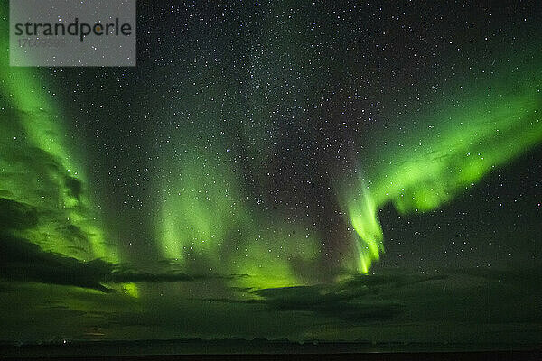 Aurora borealis mit hellen grünen Lichtblättern  die über den Nachthimmel flattern; Island