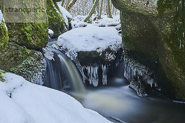 Bach  der durch einen verschneiten Wald im Naturschutzgebiet Hell fließt  Bayerischer Wald; Oberpfalz  Bayern  Deutschland