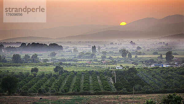 Sonnenuntergang über den Feldern um Selcuk  nahe Kusadasi  Türkei; Selcuk  Izmir  Türkei