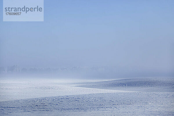 Rollende schneebedeckte Felder im Winter mit aufsteigendem Nebel vor blauem Himmel; Thunder Bay  Ontario  Kanada