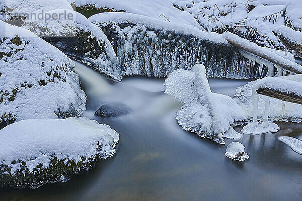 Eis- und Schneedetail in einem durch einen verschneiten Wald fließenden Bach im Naturschutzgebiet Hell  Bayerischer Wald; Oberpfalz  Bayern  Deutschland