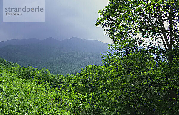 Blue Ridge Parkway  North Carolina  USA