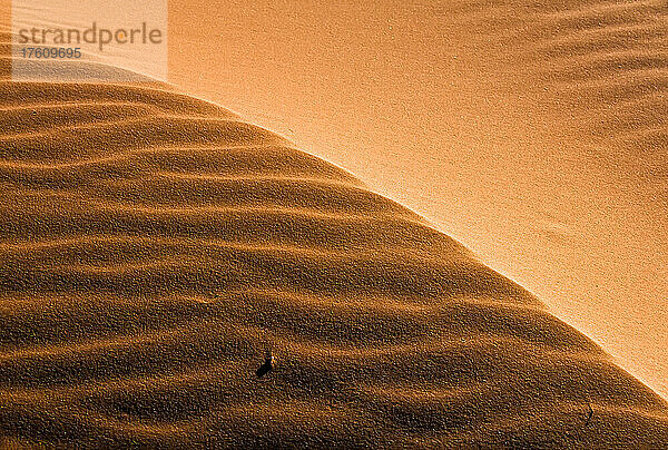 Ripple-Muster im roten Sand im Grand Staircase-Escalante National Monument; Utah  Vereinigte Staaten von Amerika