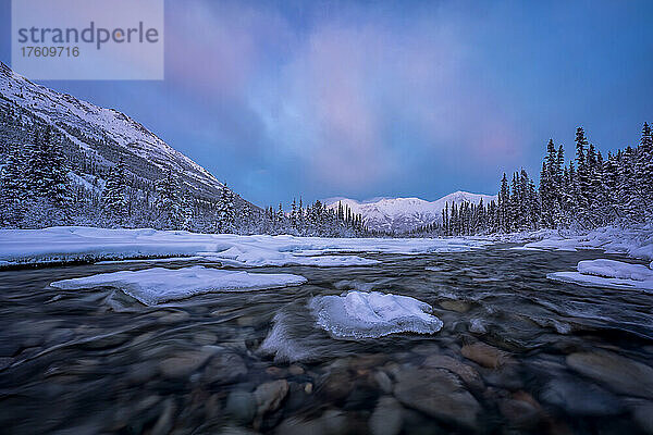 Schneebedeckte  eisumrandete Felsen in der Strömung des Wheaton River im Winter mit rosa Wolken über den Bergen in der Ferne bei Sonnenaufgang; Whitehorse  Yukon  Kanada