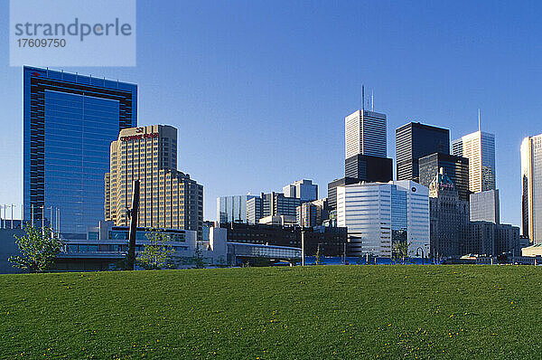 Skyline der Stadt vom Feld aus Toronto  Ontario  Kanada