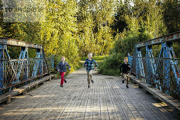 Drei Jungen laufen im Herbst über eine Brücke in einem Park; Edmonton  Alberta  Kanada