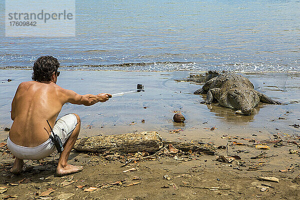 Im Isla-Coiba-Nationalpark fotografiert ein Besucher mit einem an der Kamera befestigten Teleskopauszug ein amerikanisches Krokodil (Crocodylus acutus) aus nächster Nähe; Isla-Coiba-Nationalpark  Golf von Chiriqui  Panama