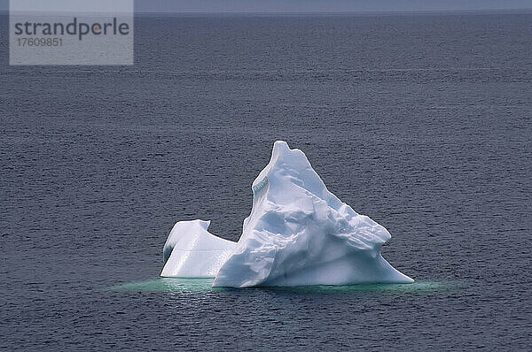 Eisberg  Twillingate Island  Neufundland  Kanada