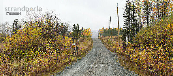 Goldenes Herbstlaub an den Bäumen und Sträuchern entlang einer Landstraße  mit einer Hausnummer an einem offenen Tor  gesehen auf dem Highway 97 von Hush Lake nach 108 Mile House; British Columbia  Kanada