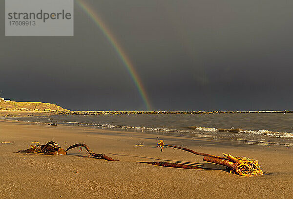 Regenbogen in den Sturmwolken über einem Strand und einem Pier mit Seetang auf dem Sand im Vordergrund; Whitburn  Tyne and Wear  England