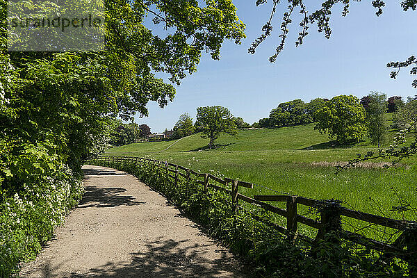 Feldweg entlang eines Zauns in der englischen Landschaft; Richmond  Richmondshire  England
