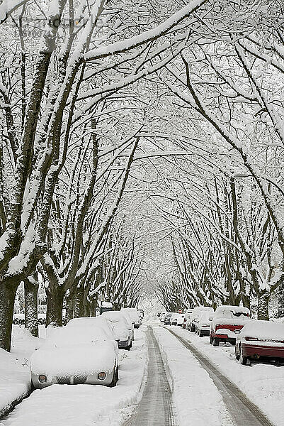 Straßenszene  Point Grey  Vancouver  British Columbia  Kanada