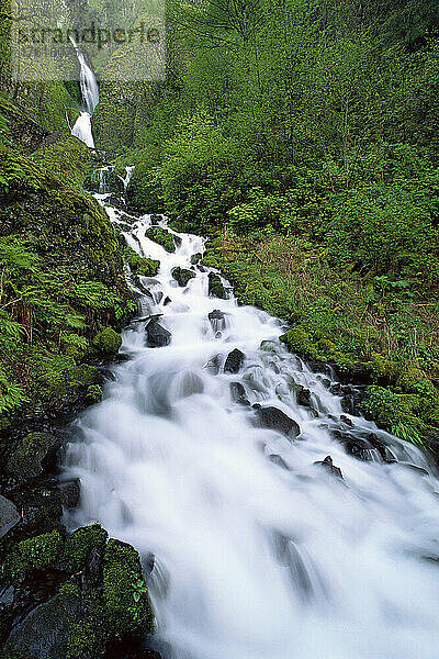 Wahkeena Falls Columbia Gorge  Oregon  USA