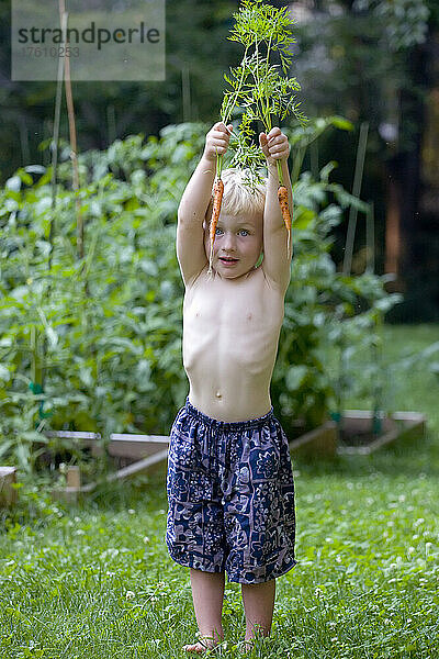 Ein kleiner Junge zeigt die Früchte seines Gartens; Cabin John  Maryland