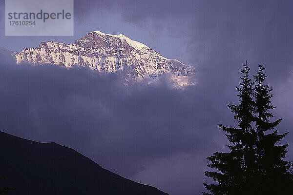 Schweizer Alpen