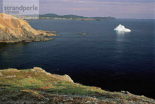 Eisberg Twillingate Island Neufundland und Labrador  Kanada