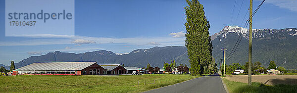 Moderne Scheunen auf einer Farm in Chilliwack mit den Bergen der Cheam Range; Chilliwack  British Columbia  Kanada