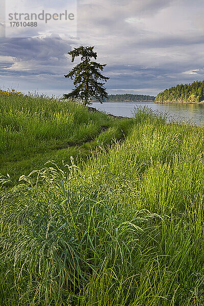 Gabriola Passage Blick vom Drumbeg Provincial Park  Straße von Georgia  Gabriola Island  British Columbia  Kanada