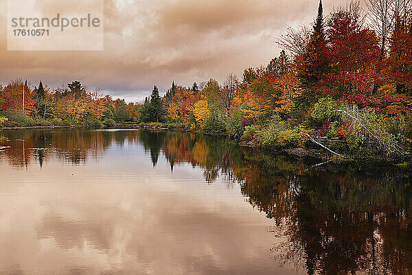Kräftige Farben eines Waldes entlang eines ruhigen Flusses im Herbst in den Laurentides; Quebec  Kanada