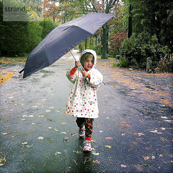 Ein dreijähriges Mädchen ringt an einem regnerischen Herbsttag mit ihrem Regenschirm; Cabin John  Maryland.