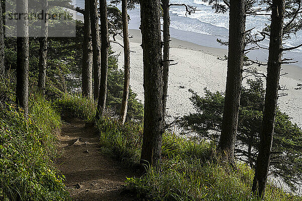 Ein beliebter Weg führt zum Crescent Beach im Ecola State Park an der Küste von Oregon; Cannon Beach  Oregon  Vereinigte Staaten von Amerika