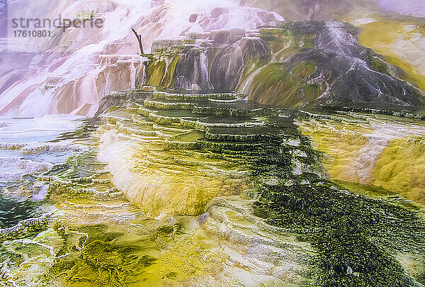 Luftaufnahme des Wassers  das über die bunten Abflussterrassen der Palette Spring im Winter fließt  Mammoth Hot Springs; Yellowstone National Park  Wyoming  Vereinigte Staaten von Amerika