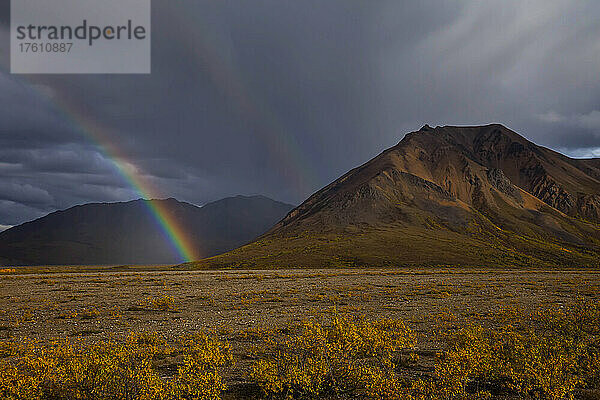 Ein Regenbogen leuchtet durch die Wolken über der Tundra.