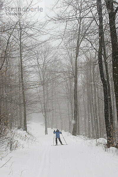 Eine Frau fährt auf Langlaufskiern durch den Wald; Canaan Valley  West Virginia.
